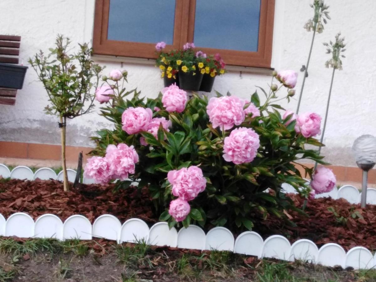 Christl'S Traum Apartment Sankt Wolfgang im Salzkammergut Bagian luar foto